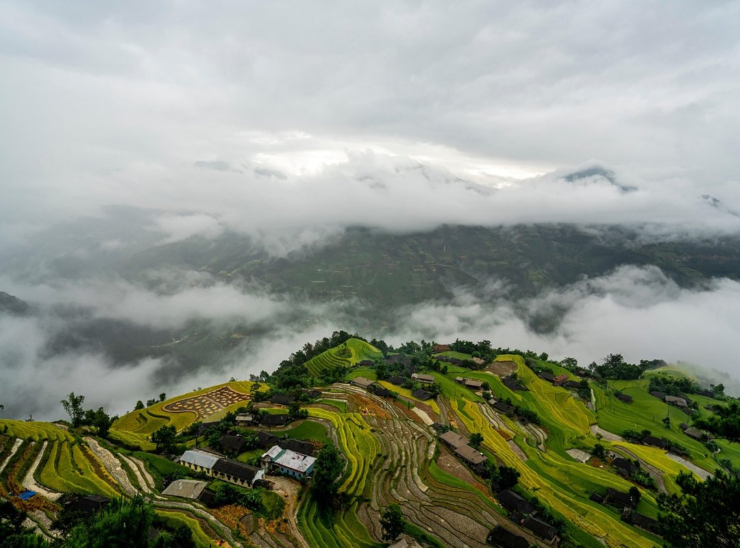 Advice Guide Ontpwellness