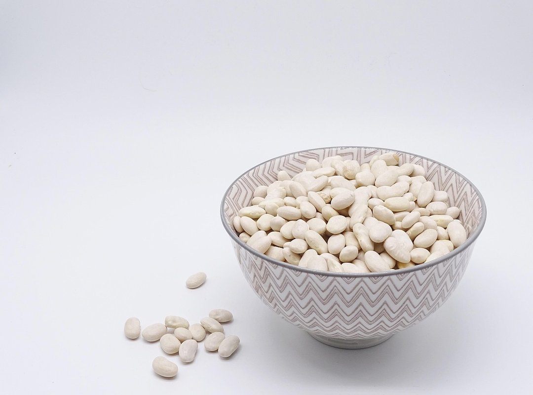 Which Whey Protein to Choose Fntkhealthy