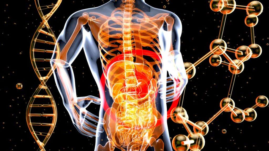 Simple Ways to Support Your Metabolism Every Day
